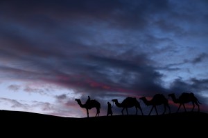 The Life of Abraham